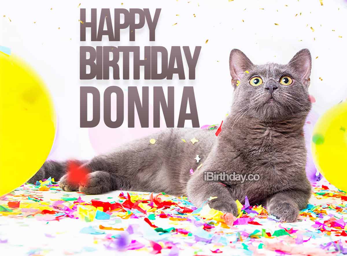 happy-birthday-to-you.net/happy-birthday-donna-memes-wishes-and-quotes. hel...